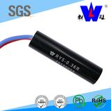 40W 0.36r Auto Fan Resistor/Blower Motor Resistor