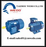 Y3-280m-6 High Efficiency Three-Phase Asynchronous Motor