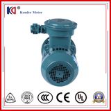 380V 50Hz AC Explosion-Proof Electric Motor for Winch