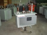 Amorphous Alloy Iron Core Oil-Immersed Power Transformer