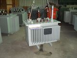 Amorphous Alloy Iron Core Oil-Immersed Power Transformer