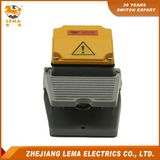 15A 250V Electric Foot Pedal Switch Lf-30