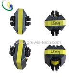 RM Type High Frequency Transformer with IEC