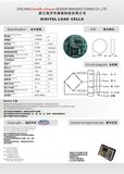 Digital Load Cell