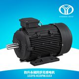AC Permanent Magnet Synchronous Motor (15kw 3000rpm)