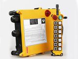 AC/DC24V Wireless Bridge Crane Remote Control Switch Transmitter and Receiver