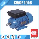 Ml Series Single Phase 3 HP Induction Motor