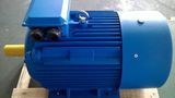 Y2-200L2-2 37kw 50HP 2950rpm Y2 Series Three Phase Asynchronous Motor