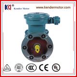 Three Phase Electric E-Proof Induction Motor Wth Customized Frequency
