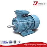 2 Poles Three Phase IEC Standard Iron Cast AC Induction Electric Motor