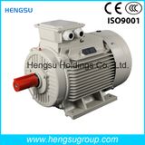 Ye3 55kw-6p Three-Phase AC Asynchronous Squirrel-Cage Induction Electric Motor for Water Pump, Air Compressor