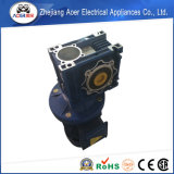 High Torque Mediocre Electric Motor with Worm Gear