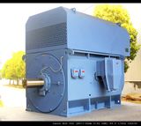 NHL Yr Three Phase Induction Motor Price