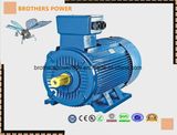 Y2 0.75kw 1.5kw 5.5kw 7.5kw Series Three-Phase Induction Motor