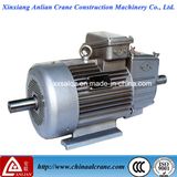 Double Output Shaft Electric Three Phase AC Motor for Sale