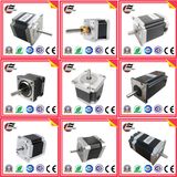Servo DC Brushless Motor Stepper /Stepping/Step Motor with Driver