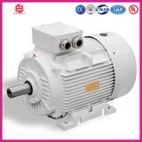 High Efficiency Low Voltage AC Induction Motor
