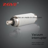 Fzn21 Fn16A Vacuum Interrupter for Indoor Load Breaking Switch (101g) Manufacturer
