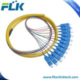 Sc LC FC St Connector 12 Core Fan-out Bundle Fiber Optic Pigtail