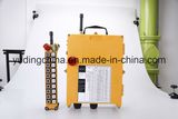 Industrial Wireless Radio Remote Control for Crane