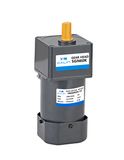 60 Watt AC Speed Control Gear Motor, Controller, Electric Motor