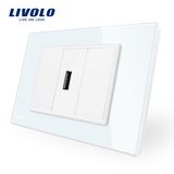 Livolo 1 Gang USB Socket (2.1A, 5V) Wall Powerpoints with Plug Vl-C91USB-11