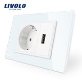 Livolo Two Gangs 16A EU Socket & USB Socket Vl-C9c1EU1u-11