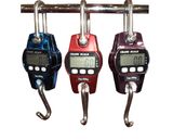 Hanging Scale (OCS-LL)