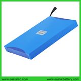 12V 21ah LiFePO4 Battery Pack Solar Street Lamp Lithium Battery with Ce