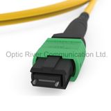 32f Sm Standard Loss MPO-MPO Patchcord Jumper Optical Fiber Connector