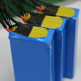 High Power 1000W/2000W LiFePO4 Bike Battery with 2000cycles