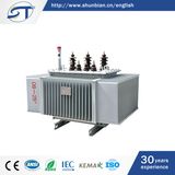 Three-Phase Oil-Immersed Amorphous Alloy Power Distribution Transformer