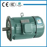 Factory direct sell high voltage three-phase squirrel cage induction motor