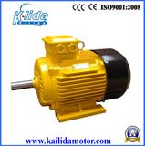 Y2 Series Three Phase Electirc Motor/Electric Water Pump Motor Price