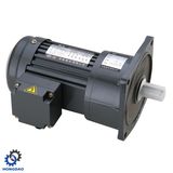 High Speed Ratio Micro AC Electric Motor Gear Reducer Motor_D
