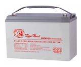 Solar AGM Battery 12V100ah