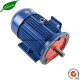 Three Phase Electric Induction Electric Motor