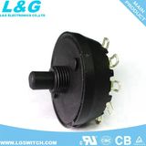 Voltage Conversion Rotary Switches 10A250VAC