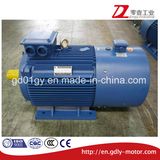 Y2vp Series Variable Frequency Induction Motor, Cooling Method IC416