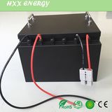 2000 Cycle LiFePO4 Battery Pack 24V 48V 50ah 60ah 80ah 100ah 150ah Deep Cycle for Solar System