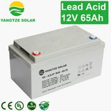 Free Shipping Yuasa 12V 65ah Battery