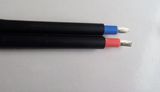 Solar Panel Cable with Diameter of 4 Square Mm