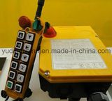 Industrial Crane and Hoists F24-12s Sky Remote Control