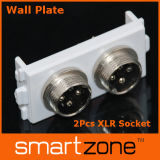Aviation Plugs Wall Plate, XLR Faceplate (9.1134)