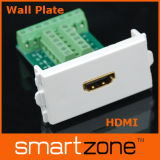 HDMI Wall Plate, AV Face Plate (9.1124)