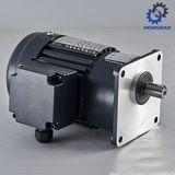 Vertical Type 3 Phase 750W AC Motor_C