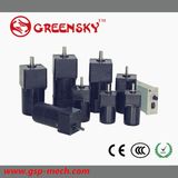 GS High Torque 25-300W 40-104mm Brushless DC Gear Motor for Car