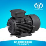 AC Permanent Magnet Synchronous Motor (1.1kw 3000rpm)