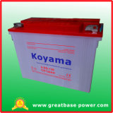 Electric Tricycle Battery Deep Cycle 120ah, 12V