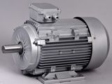 Cast Iron Frame - Dahlander 8/4 Pole - Constant Torque Motor